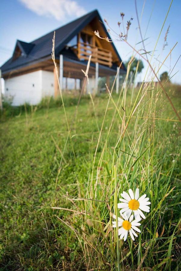 Willa Domek Tatrzańskie Serce Czerwienne Zewnętrze zdjęcie